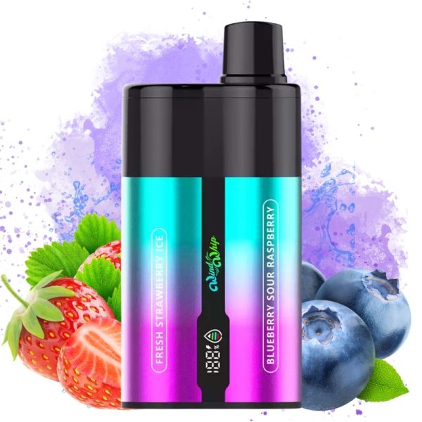 JNR WindWhip 44000 Puffs - JNR Vape